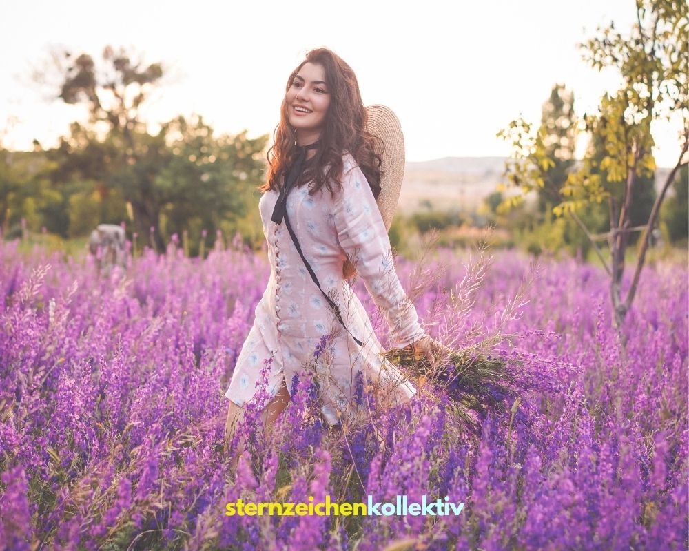 sternzeichen sommer horoskop sternzeichen sommer horoskop