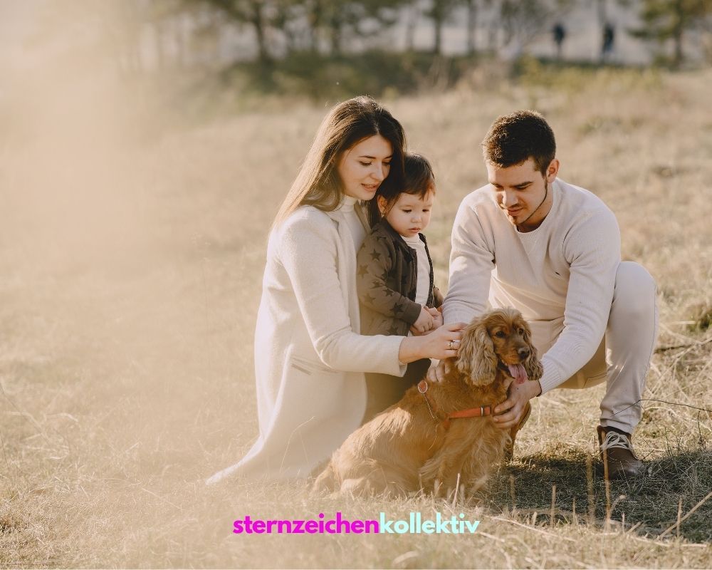 sternzeichen sommer horoskop sternzeichen sommer horoskop