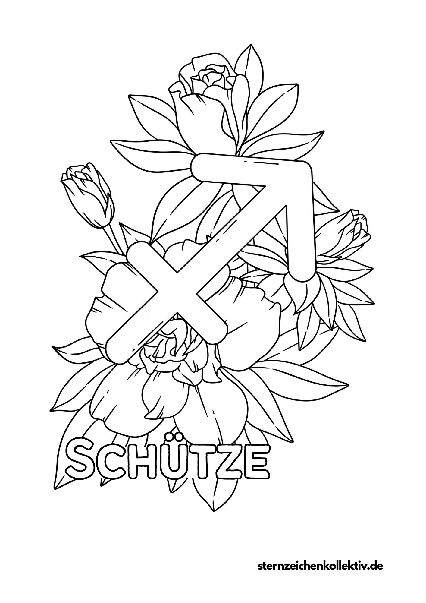 sternzeichen schütze