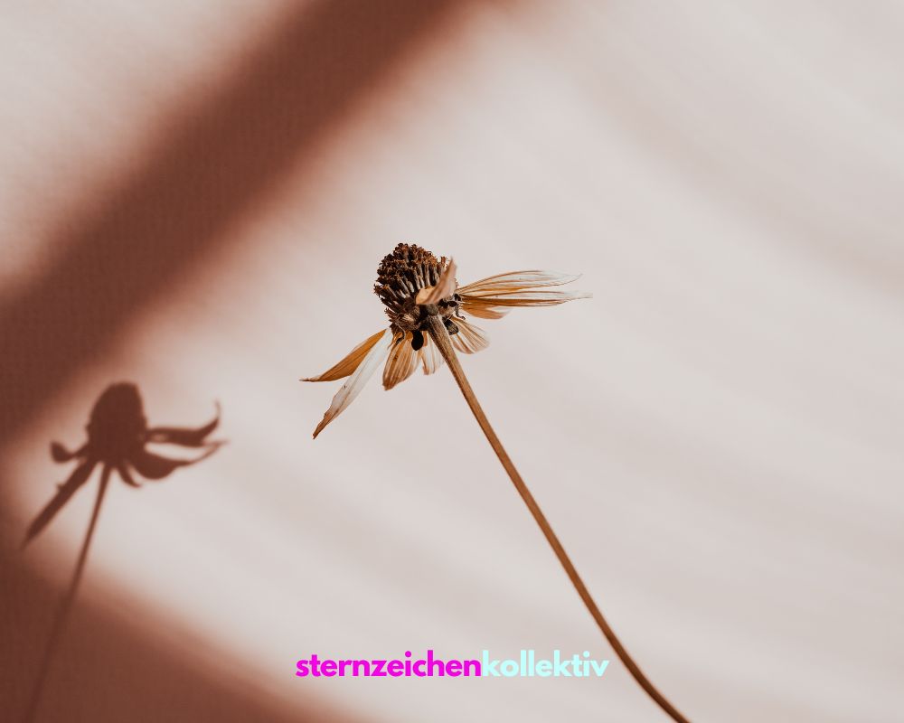 sternzeichen skorpion