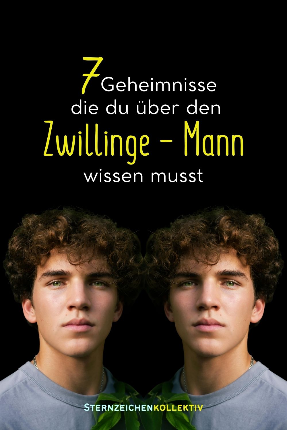 zwillinge sternzeichen
