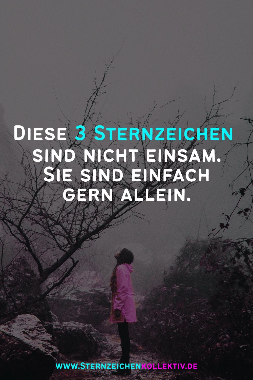sternzeichen liebe